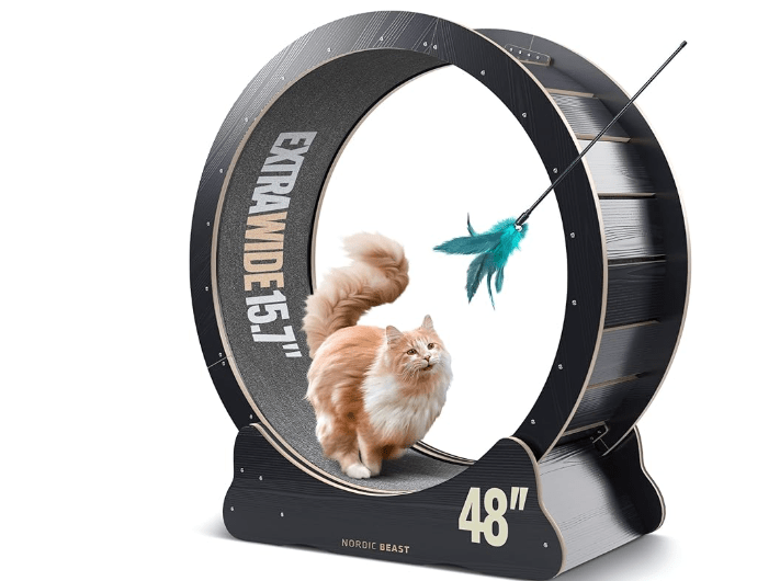 Nordic Beast Cat Wheel